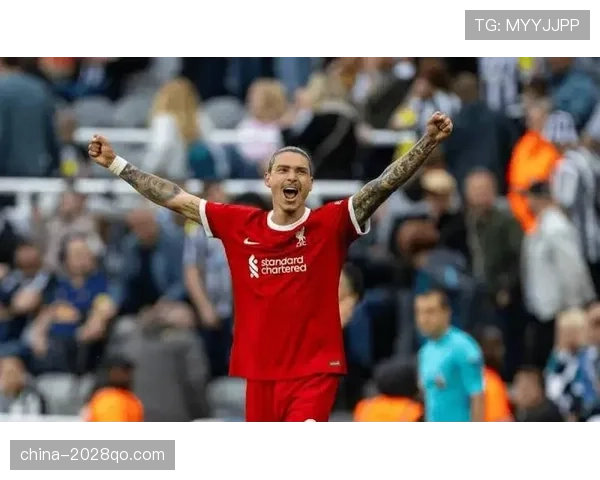 努涅斯需要多长时间才能兑现潜力并证明自身价值？