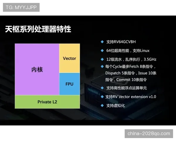 维尔茨的技术流风格在实战中是否存在适配性短板？