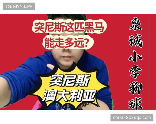 突尼斯世界杯黑马指数评估